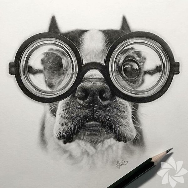 Gerçekçi hayvan portreleri