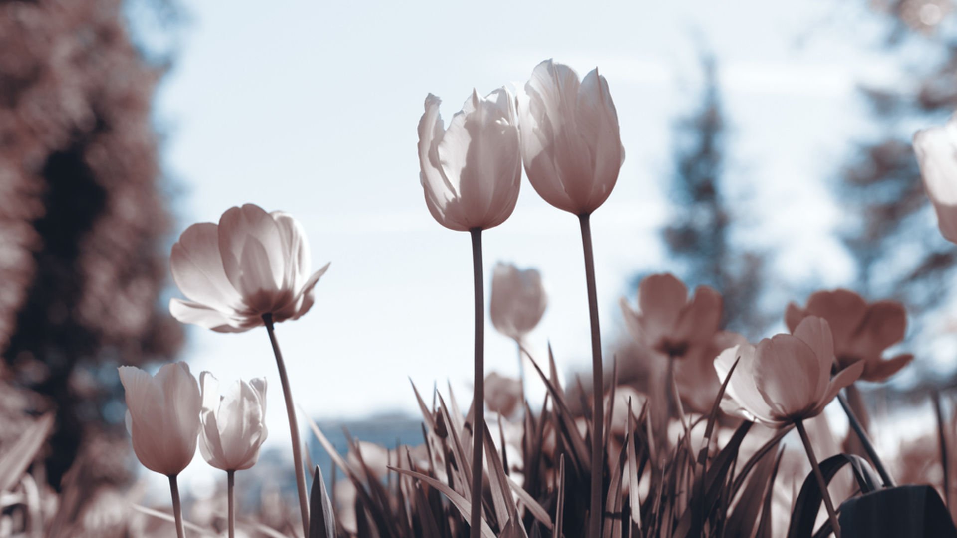 Negatif enerjiden kurtulmanın yolları nelerdir?